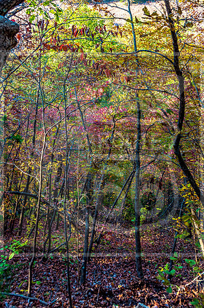 Ha Ha Tonka 2015-5585.jpg