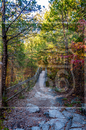 Ha Ha Tonka 2015-5596.jpg