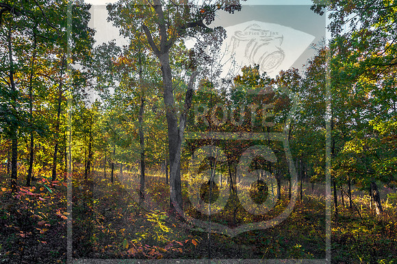 Ha Ha Tonka 2015-5613.jpg
