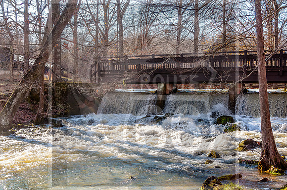 OSJ Meramec Springs-0213.jpg