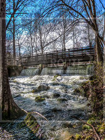 OSJ Meramec Springs-1150218.jpg