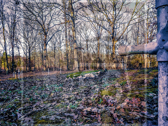 OSJ Meramec Springs-1150401.jpg