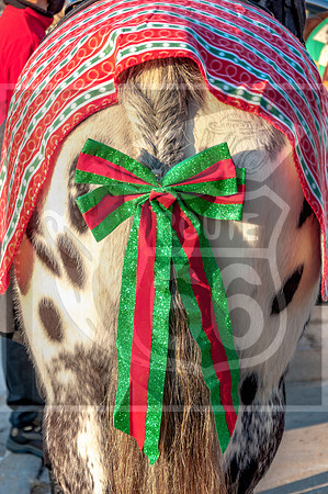 Christmas Parade - Waynsville, MO #kiwanisclubofpulaskicounty #picsbyjax #getyourpicsonroute66 #waynesvillemo -1801.jpg