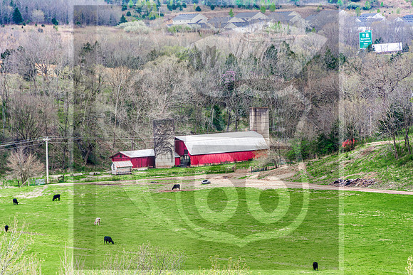 Down in the Valley_Waynesville (C)PicsbyJax-4198