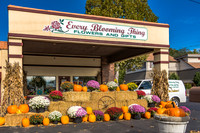 Every Blooming Thing (Old Bell Garage)_ JAX_2216