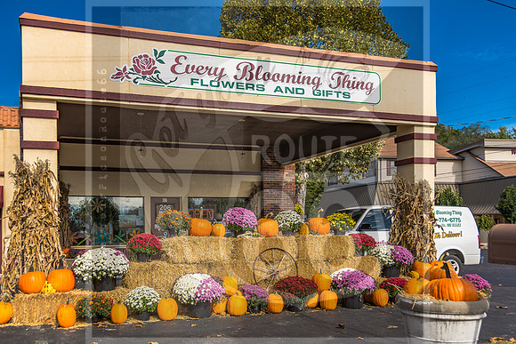 Every Blooming Thing (Old Bell Garage)_ JAX_2216