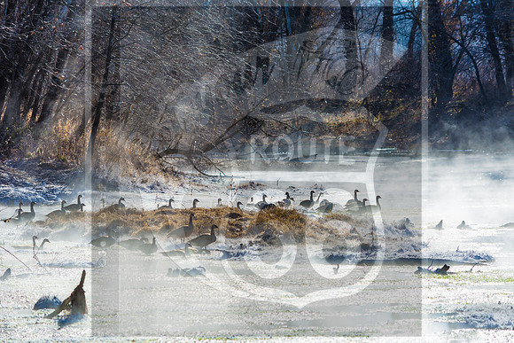 Route 66 - Roubidoux Creek Waynesville Mo (c)2017PicsbyJaxgetyourpicsonroute66 waynesvillemo picsbyjax route66-0523-2