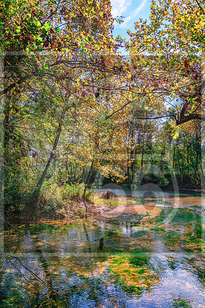 Roubidoux Creek (c)PicsbyJax-4482