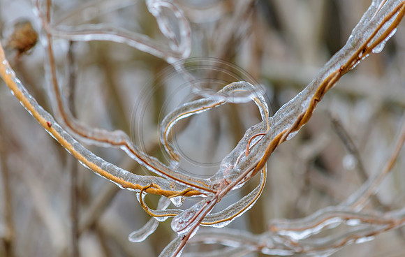 Jupiter Ice Storm- Friday 13, 2017 (c)PicsbyJax whatisee shootandediteveryday picsbyjax-0062.jpg