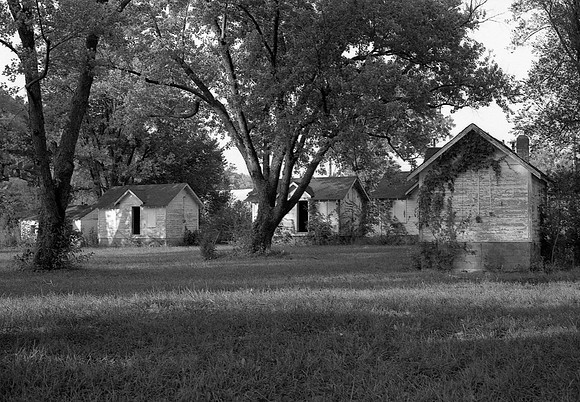Covered Wagon - Pippin Road cabins.jpg