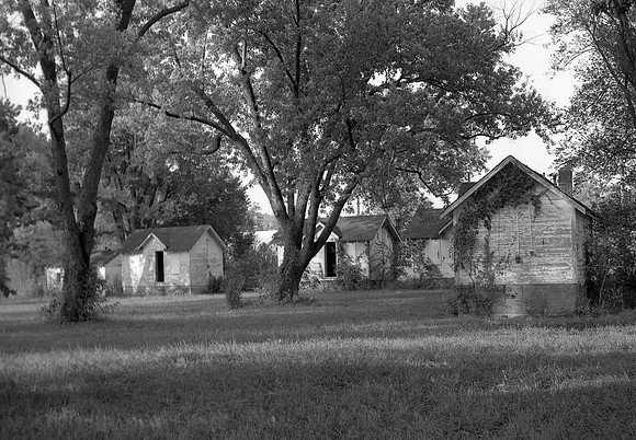 Pippin Road cabins.jpg
