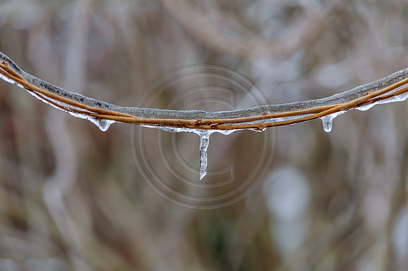 Jupiter Ice Storm- Friday 13, 2017 (c)PicsbyJax whatisee shootandediteveryday picsbyjax-0060.jpg