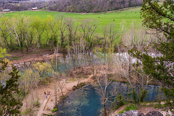 Spring 2020 (C)PicsbyJax-4204.jpg