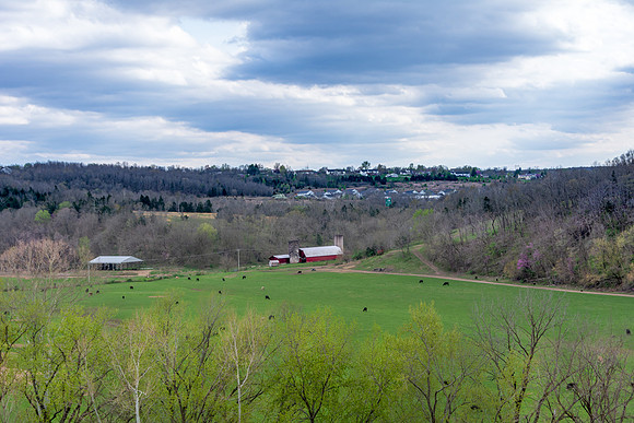 Spring 2020 (C)PicsbyJax-4197.jpg