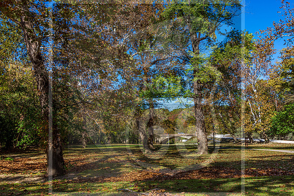 JAX_6501.jpg