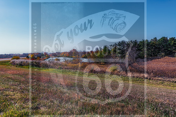 JAX_6752-Edit.jpg