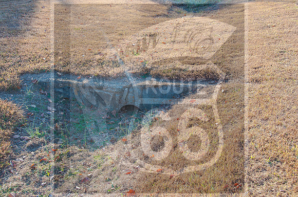 Route 66 Exploration- Missouri-6971.jpg