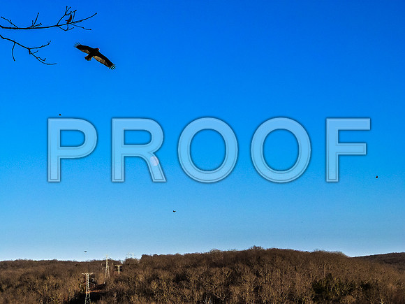 Meramec Spring Park-1150371.jpg
