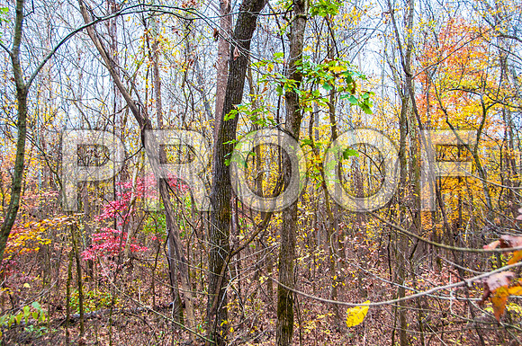 Devils Elbow MO-8681.jpg