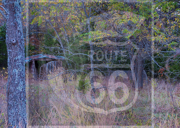 Route 66 Exploration- Missouri-7048.jpg