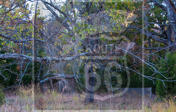 Route 66 Exploration- Missouri-7049.jpg