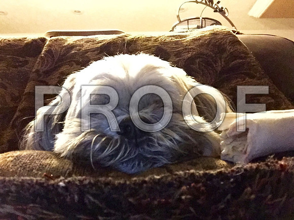 Squirt - IMG_0009