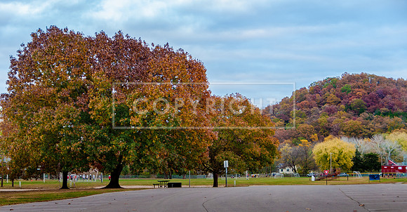 Waynesville Park - Fall Glory -7771.jpg