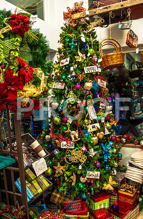 Christmas on the Square 2015-0740.jpg