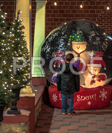 Christmas on the Square 2015-0768.jpg