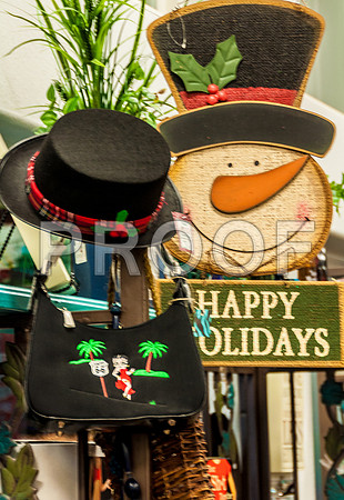 Christmas on the Square 2015-0743.jpg