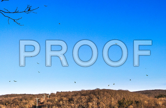 Meramec Spring Park-1150368.jpg