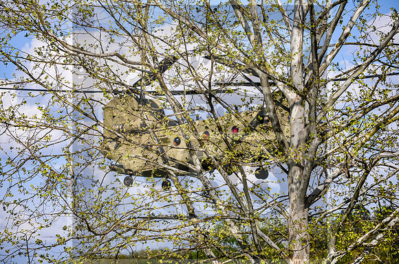 Best Sapper Competition 2023 © Pics by Jax LLC-0192.jpg