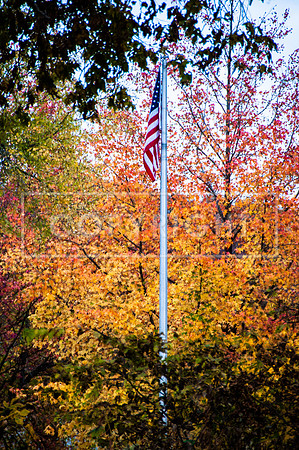 Waynesville Park Flag in Fall-7746.jpg