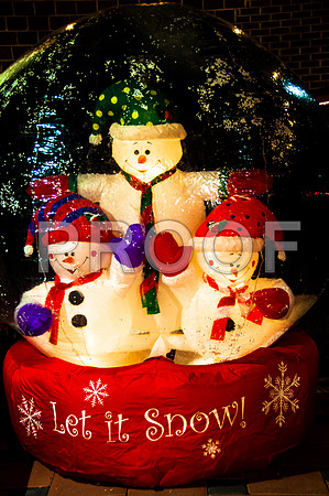 Christmas on the Square 2015-0764.jpg