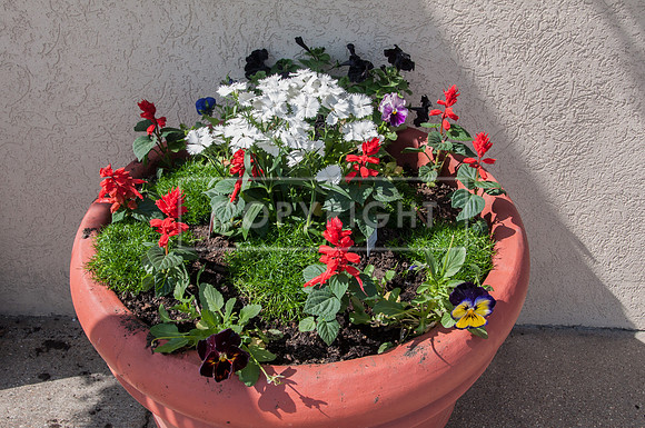 Route 66: Eclectic Originals Flower Display - Waynesville MO -0037.jpg