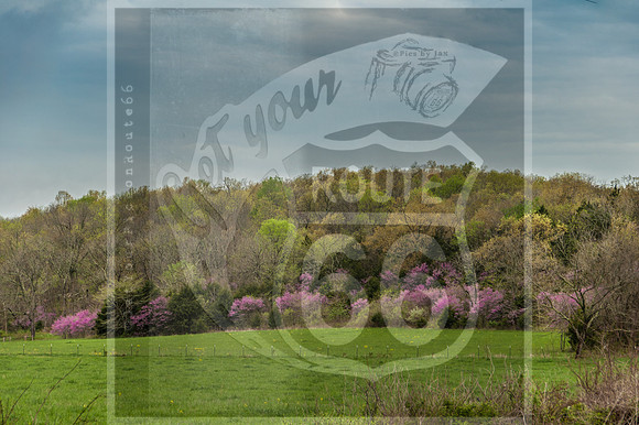 Route 66 Exploration Collection-0787.jpg