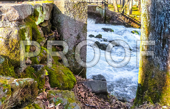 Meramec Spring Park-1150262.jpg