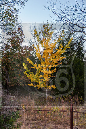 Route 66 Exploration- Missouri-7051.jpg
