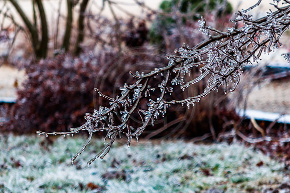 Jupiter Ice Storm- Friday 13, 2017 (c)PicsbyJax whatisee shootandediteveryday picsbyjax-0031.jpg