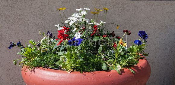 Route 66: Eclectic Originals Flower Display - Waynesville MO -0036.jpg