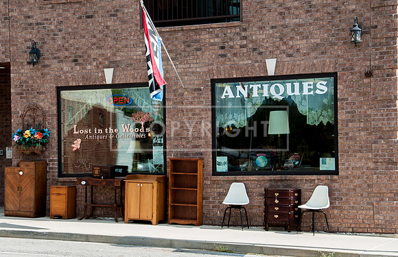 Route 66: Lost in the Woods Antiques - Waynesville MO-0027.jpg