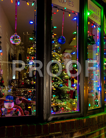 Christmas on the Square 2015-0780.jpg