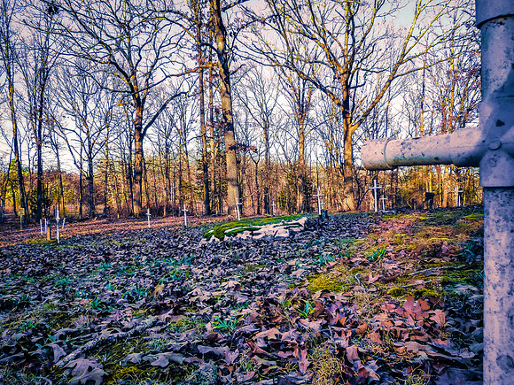 OSJ Meramec Springs-1150401.jpg