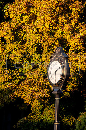 Waynesville Clock  DSC_0554.jpg
