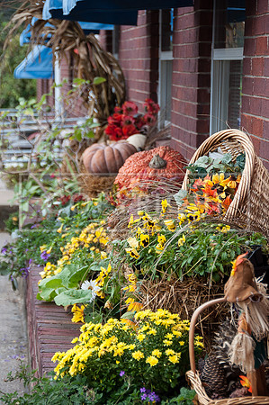 Route 66: PicsbyJax Fall Display.jpg