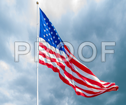 JAX_3166.jpg