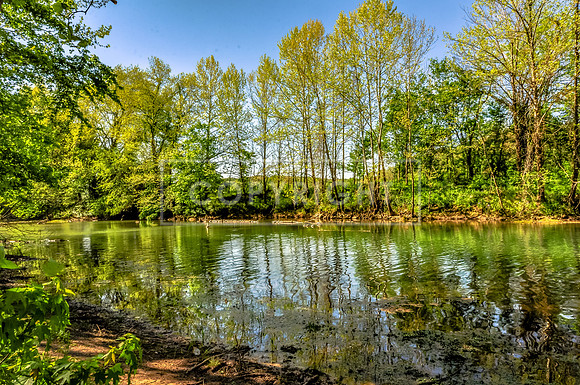 Roubidoux Creek.jpg
