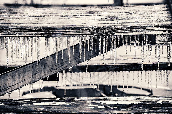 Jupiter Ice Storm- Friday 13, 2017 (c)PicsbyJax whatisee shootandediteveryday picsbyjax-0098.jpg