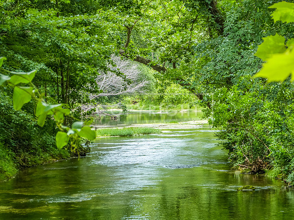 Roubidoux Creek.jpg