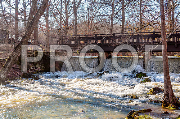 OSJ Meramec Springs-0213.jpg